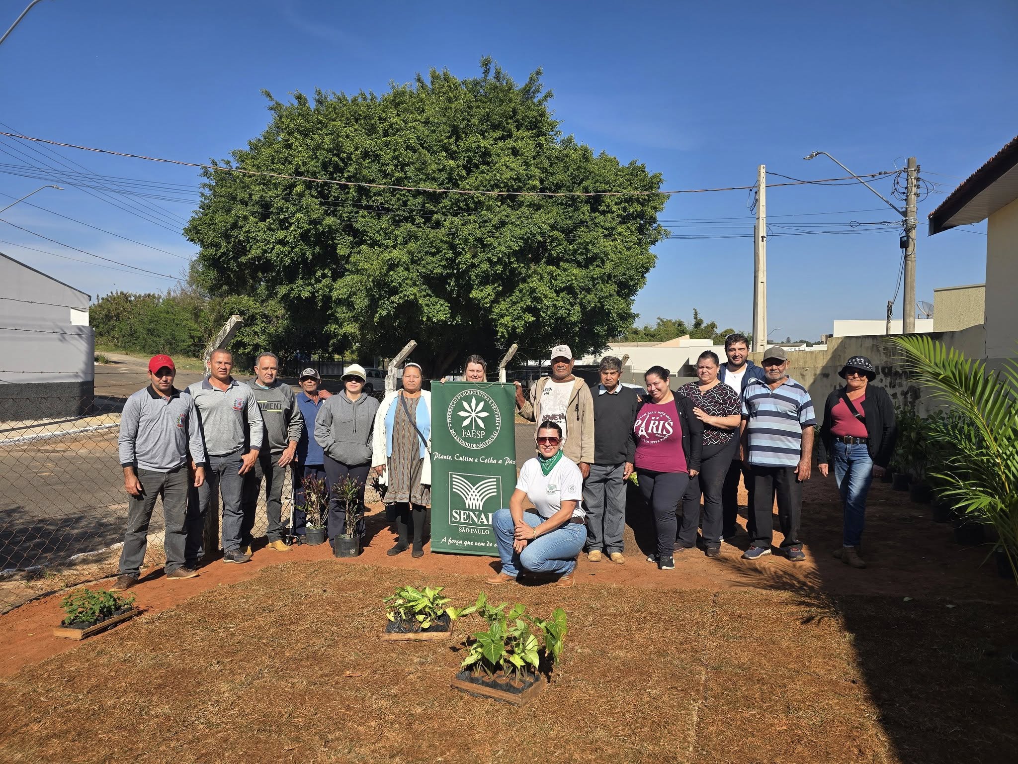 Curso de Jardinagem em Lucianópolis!